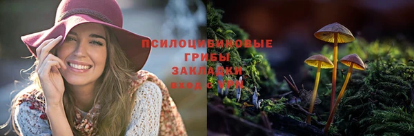 spice Абдулино