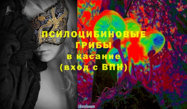 эйфоретик Алзамай